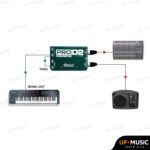 Radial ProD2 Stereo Passive Direct Box - Image 10