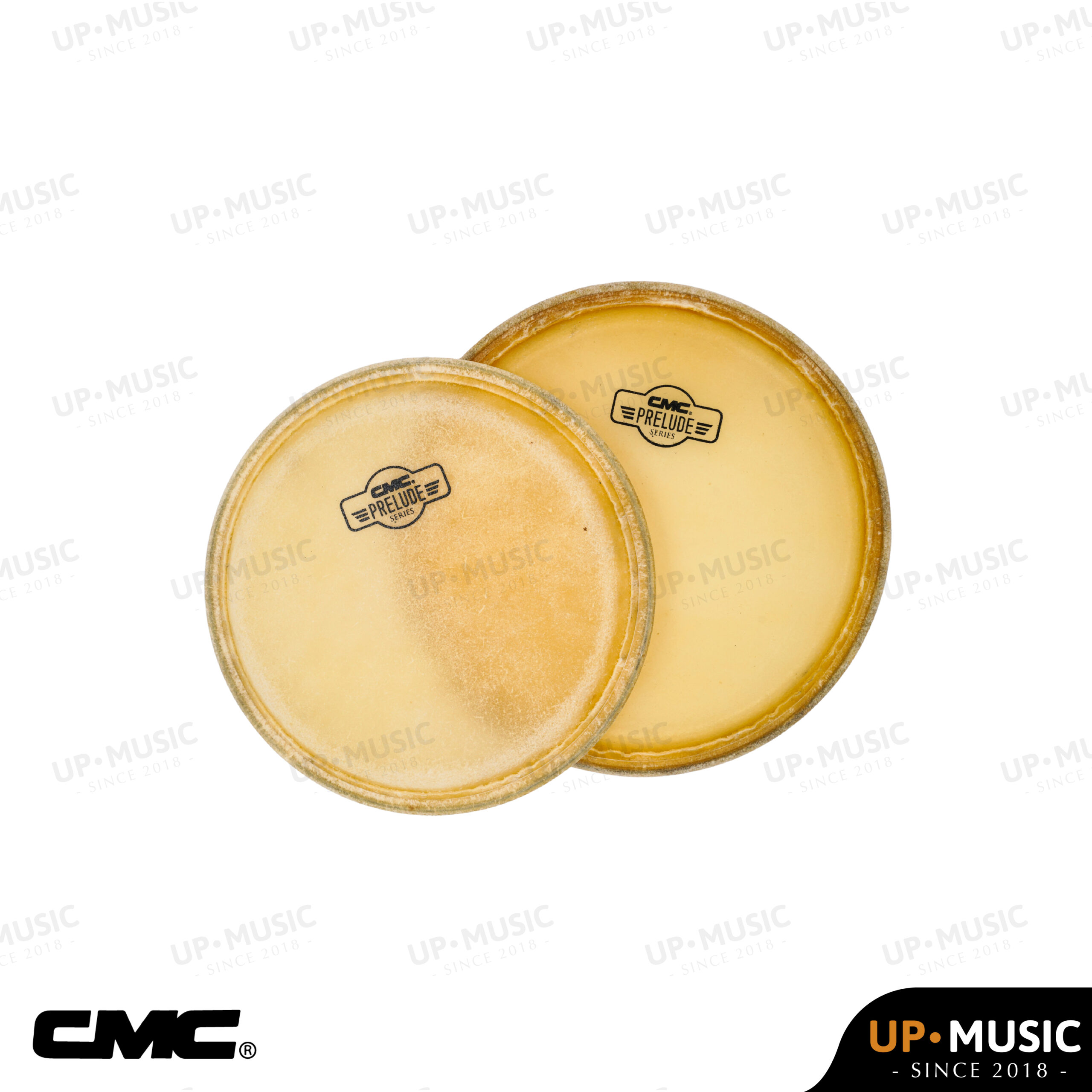 CMC Prelude Series Conga Drumhead