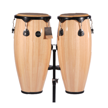 web-thumnail-cat-congas