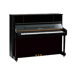 web-thumnail-cat-piano
